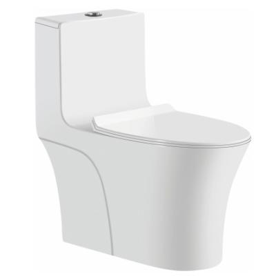 China Double-Flow White Color Floor Mount Bathroom Siphonic One Piece Toilet Western Price India Good Quality for sale