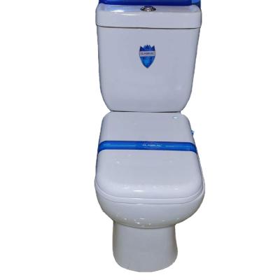 China 2021 Automatic Operation European Market Self Cleaning Washdown Toilet Standard Two Piece P-stap 180mm for sale