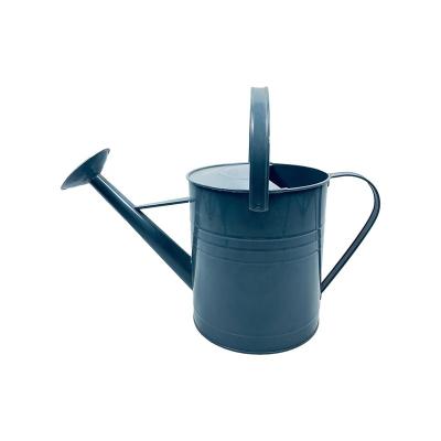 China Metal Metal Watering Can Strong Gardening Watering Pot With Spout For Indoor Outdoor Bonsai Plants for sale