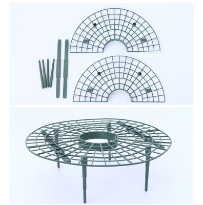 China Contemporary Plastic Melon Strawberry Planter Fruit Planter Tray Support Rack Grids for sale