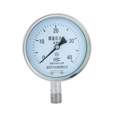 China High Quality Gasoline YE Series YE100BF Capsule Pressure Gauge Stainless Steel Pressure Gauge for sale