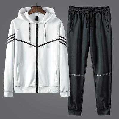 China New Style Breathable Stripe Tracksuits Polyester Sportswear Custom Sweatpants And Hoodie Established Full Zipper Jacket Tracksuits for sale