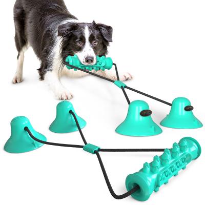 China TPR Made in China Pet Toys Dog Chew Toy Suction Cup Dog Toys for sale