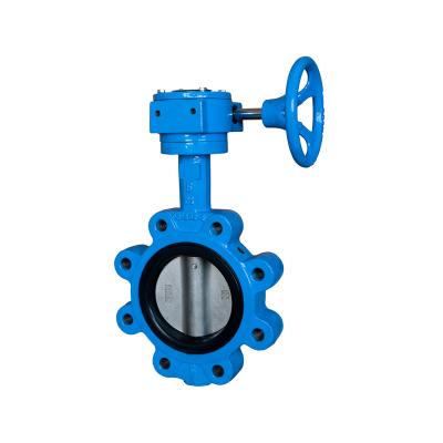 China Custom High Quality Cast Steel Worm Geat Carbon Steel Butterfly Valve Gear for sale