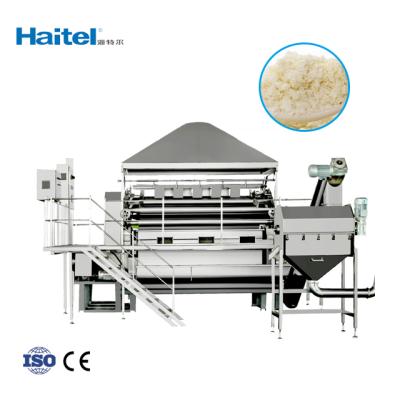 China HTL-1223 Baby Rice Noodles Rice Cereal Making Machine Baby Cereal Food Production Line Baby Food Making Machine for sale