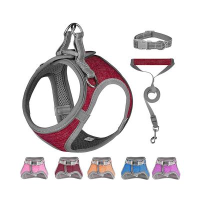 China Customized High Quality Mesh Padded No Pull Pet Harness Small Dog Leash And Harness Backpack for sale