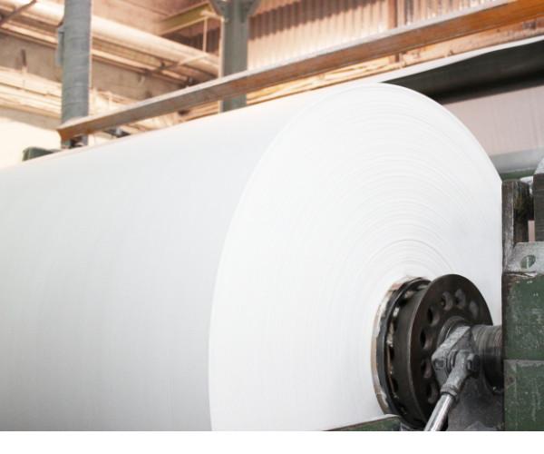 Verified China supplier - China Paper Company Limited