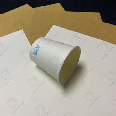 China China Factory PE Coated Cup Paper High Quality Cupstock Base Paper In Roll for sale