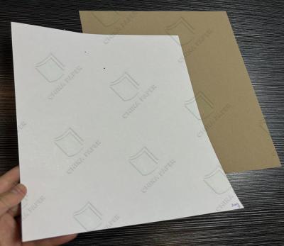 China Wrapping Printing White Top Testliner Coated Kraft White Top Liner Board 700*1000mm for sale