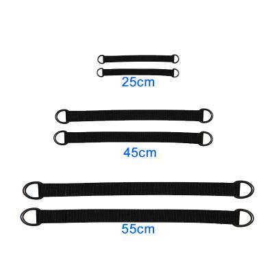 China Modern Adjustable Shaft Swing Straps Pendant Kit Easy to Install 2 Straps with Carabiner Hook for sale