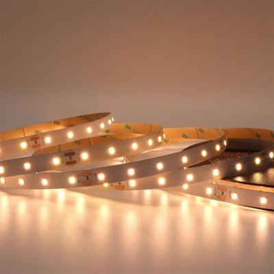 China High Bright Led Flexible Warehouse Strip Light SMD2835 WW/NW/W 5M 60Led /m DC12V /24V Flexible Strip Lamp for sale