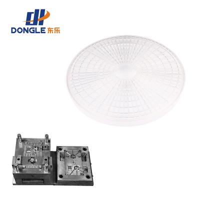 China Plastic Rich Experience Plastic Injection Mold Netting For Lightwave Shell for sale