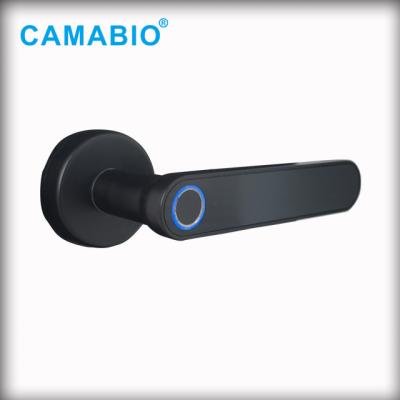 China CAMA-TL03 Simple Zinc Alloy Door Handle Zinc Alloy Smart Lock for sale