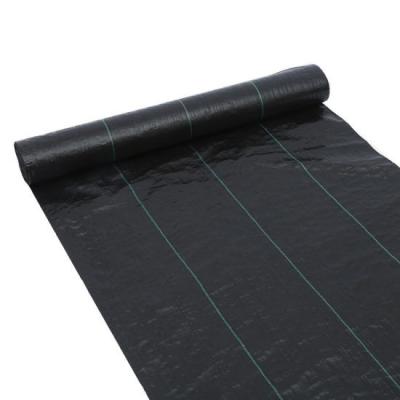 China Stop Weed Growth and Keep Water Garlic and Onion PP Plastic Weed Control Mat Woven Black Weed Mat Fabric with Holes for sale