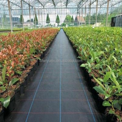 China Preventing Weeds Growing Hot Sale 2022 PP Weed Mat for sale