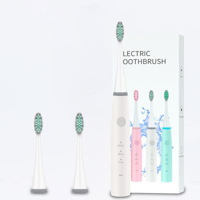 China Household Logo Shenzhen Oem Adult Custom Vibration Sonic Detal Electric Toothbrush for sale