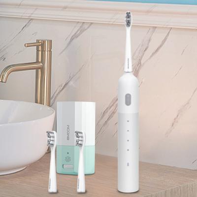 China Teeth Whitening Portable Eco Friendly Designer Toothbrushes Electric Electris Refill Individual Wrapped Toothbrush for sale