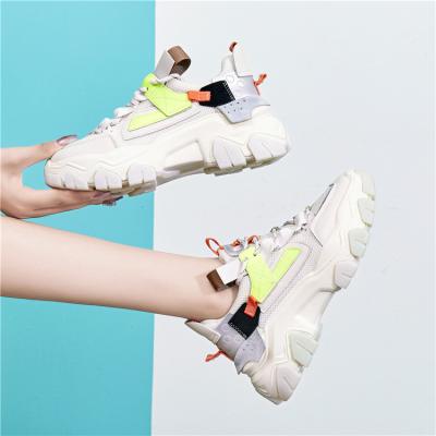 China Anti-odor OEM Autumn Winter Ladies Casual Shoes Fashion Breathable Hollow Lace-up Women Sneakers Sports Shoes for sale