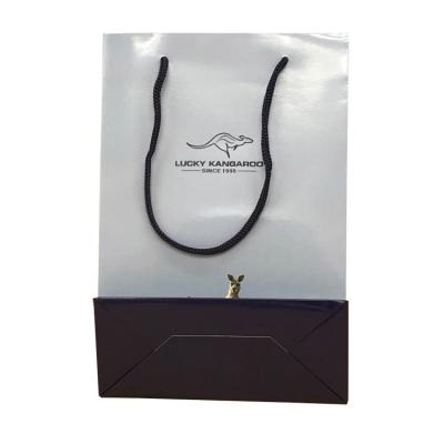 China 2021 Recyclable Gift Packaging Paper Bags Stylish Hong Kong Manufacturer for sale