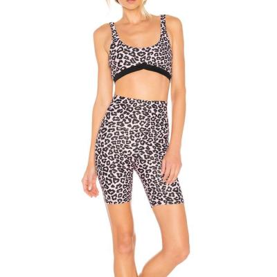 China Custom Sublimation Anti-UV Leopard Printed 4 Way Stretch Nylon Spandex Women Bike Shorts for sale