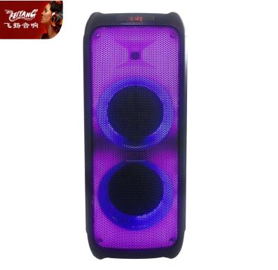 China Digita Full Range Power Radio Dual 8 Inch Karaoke Woofer Smart Garden Portable Wireless Modern Dolby Music Audio Loud Speaker for sale