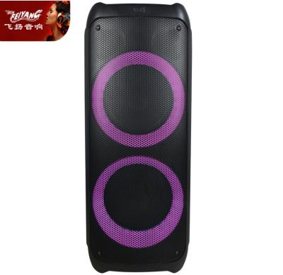 China Dual 10 Inch BT Trolley USB Horn Cylinder Party Box 300 Loudspeaker Wireless Audio System Portable Large 200 Digita Super Dolby Bass Loudspeakers for sale