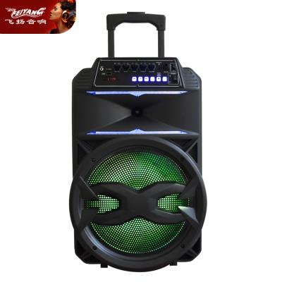 China LED Flashing Light Trolley Speaker Manufacturer Portable OEM BT Radio Customized 12 Inch Outdoor Speaker Box Karaoke Speakers for sale