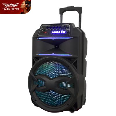 China Hot Selling Portable Wireless TWS Karaoke Machine 12