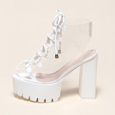 China 2021 Fashion Trend Popular Women's Platform High Heels Fish Mouth Dress Clear Shoes Banquet Summer White Wedding Sandals for sale