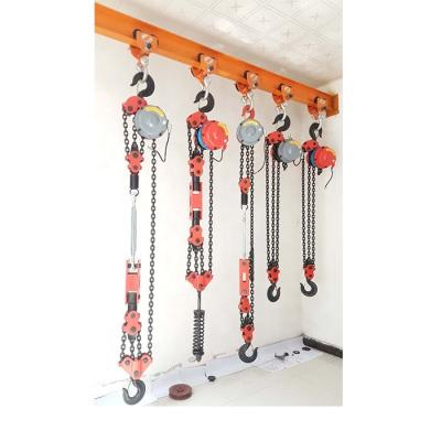 China Hotels 5 Ton 20 Ton 10 Ton DHP Type 7.5 Ton Electric Construction Chain Hoist For Construction for sale