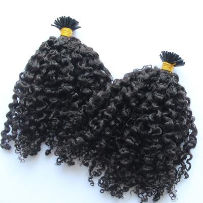 China Raw Curly Virgin Virgin Cuticle Aligned Hair Micro Link I Tip Extension Hair Burmese Kinky Curly for sale