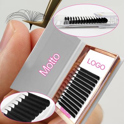 China Abonnie Cashmere Eyelash Extensions Natural Wholesale Handmade PBT Long Fiber 0.03 Volume Eyelash Extensions for sale