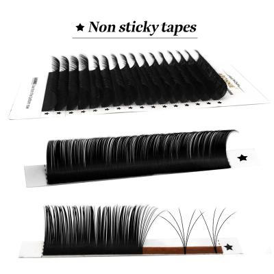 China Abonnie Logo c d cc Natural Custom Loop 8mm to 22mm Self Dyed Loop Easy Fan 12 Rows Flowering 0.07 0.03 0.05 Easy Fan Lashes for sale