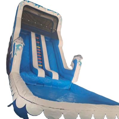 China Inflatable pool slide commercial grade water carnival inflatable games 8X4 m or customized size for sale