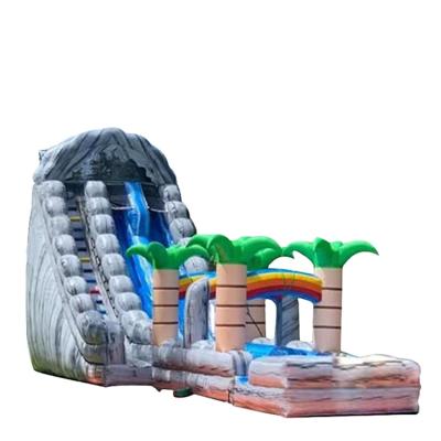 China Kids Inflatable Palm Water Slide Water Park Challenger Games Customized for sale