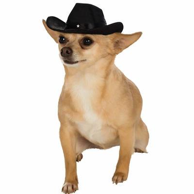 China Mini Pet Dogs Cowboy Hat Verified Pet Hat Fashion Creative Cute Pet Accessories for sale