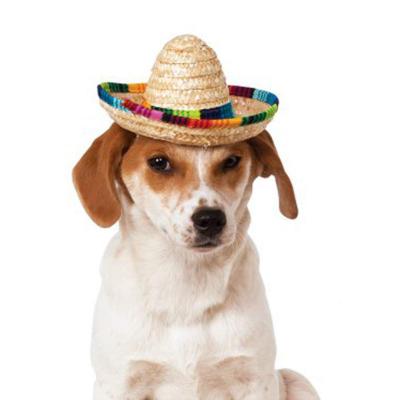 China Cute Character Mini Pet Dogs Straw Hat Creative Mexican Sombrero Hat For Dogs Accessories for sale