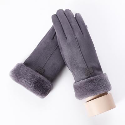 China Simply 2021 Hot Selling New Double Layer Thick Plush Women's Touch Screen Winter Cycling To Wear Warm Glove for sale