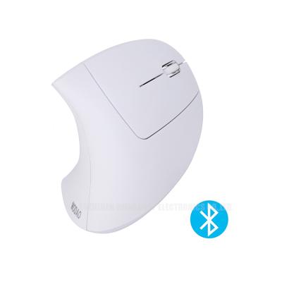 China Modao Ergonomic Blue Wireless Portable Mobile Tooth Mouse Optical Mice, White Ergonomic Mouse for sale