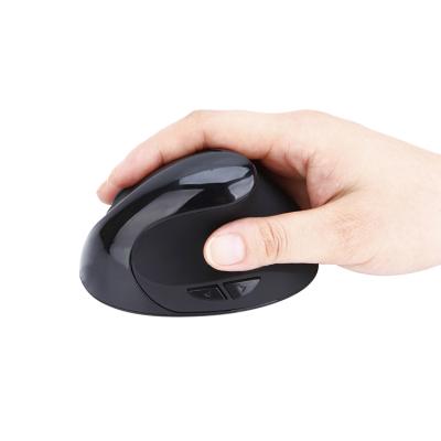 China Hands Rest Hands Rest Vertical USB Rechargeable 2.4g Wireless Optical Mouse for sale