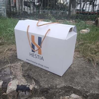 China Recycled Materials Customized Printing Big Logo Shipping Box With Handle Handbag Packaging Box White Shipping Box for sale