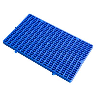 China Farms China Supplier Slatted Plastic Slat Animal Plastic Flooring Flooring For Pig for sale