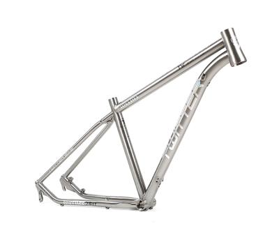 China 27.5/29 inch china reflective logo 275 wholesale bicycle parts 29 MTB TITANIUM FRAME custom made for sale