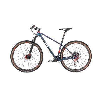 China Carbon fiber WARRIORpro GX EAGLE 12 speed XC bicycle mtb 29 level carbon for sale for sale