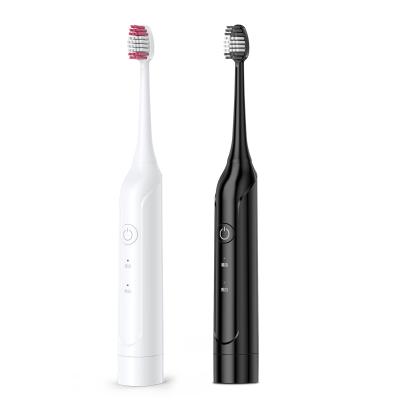 China ABS Wholesale Customized Good Quality New Sonic Wholesale Electric Toothbrush Slim 2021 for sale