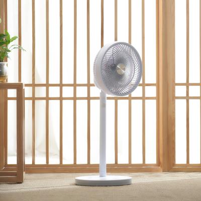 China Twelve Speed ​​Control With 12 Speed ​​Position Maker Remote Control Fan More Remote Home Use Air Professional Circulator for sale