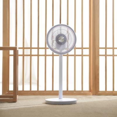 China Direct 12 Inch Hotel Factory Air Circulator 5 Adjustable Brush Metal Electric Industrial Stand Fan for sale