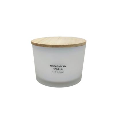 China Home Decoration 20 Oz Frosted White Glass Jar With Lid for sale