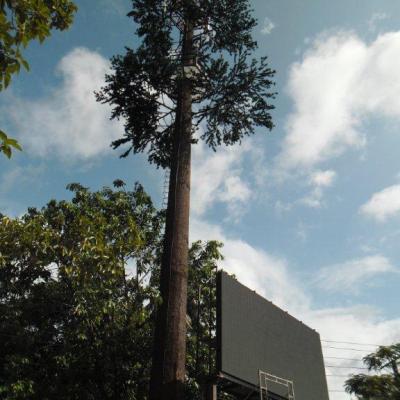 China Single pole antenna would be camouflaged camouflaged pine tower for telecommunication for sale