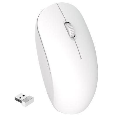 China Office Backlit Wireless Desktop Business Laptop Mouse Mute 2.4G Wireless Mouse for sale